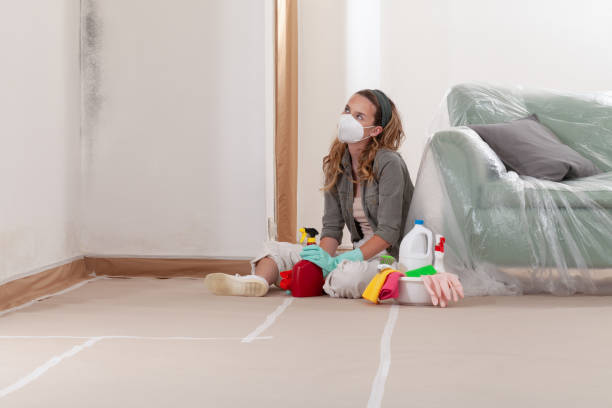 Reliable Mold Cleanup contractor in Bridgeport, MI by WQB Mold Removal